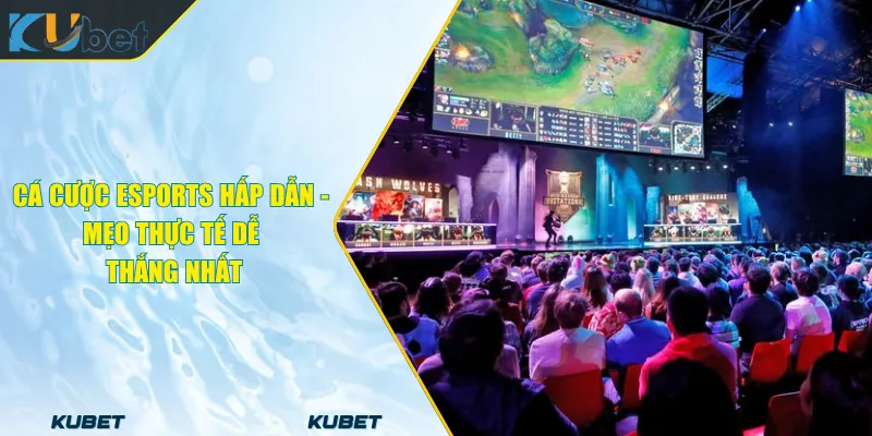 Cá Cược Esports Hấp Dẫn - Mẹo Thực Tế Dễ Thắng Nhất