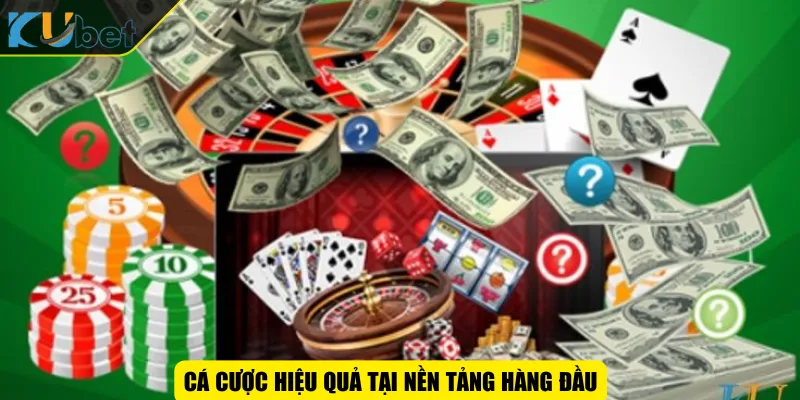 Cá cược hiệu quả tại nền tảng hàng đầu