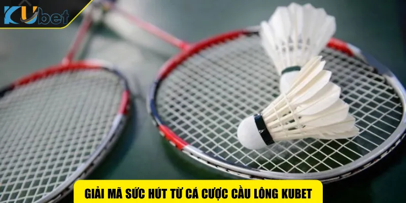 Giải mã sức hút từ cá cược cầu lông KUBET