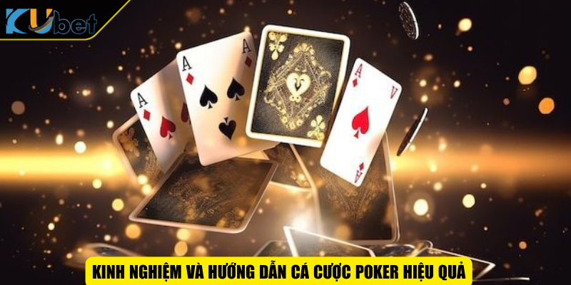 Kinh nghiệm và hướng dẫn cá cược Poker hiệu quả