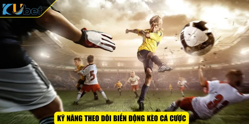 Kỹ năng theo dõi biến động kèo cá cược