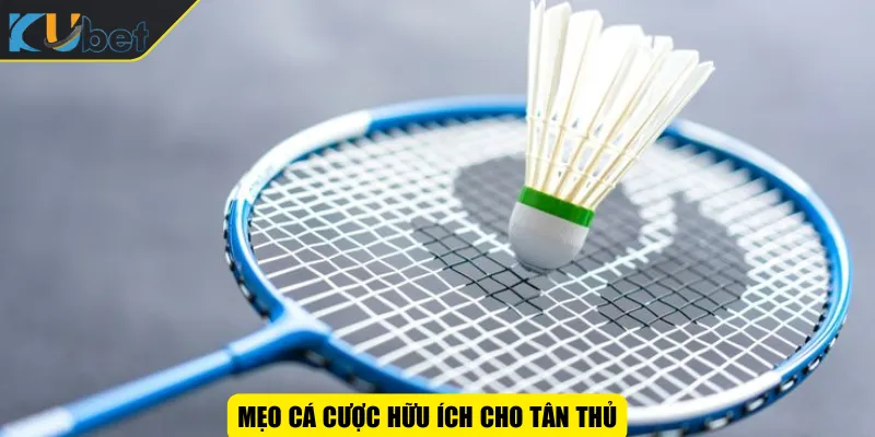 Mẹo cá cược hữu ích cho tân thủ